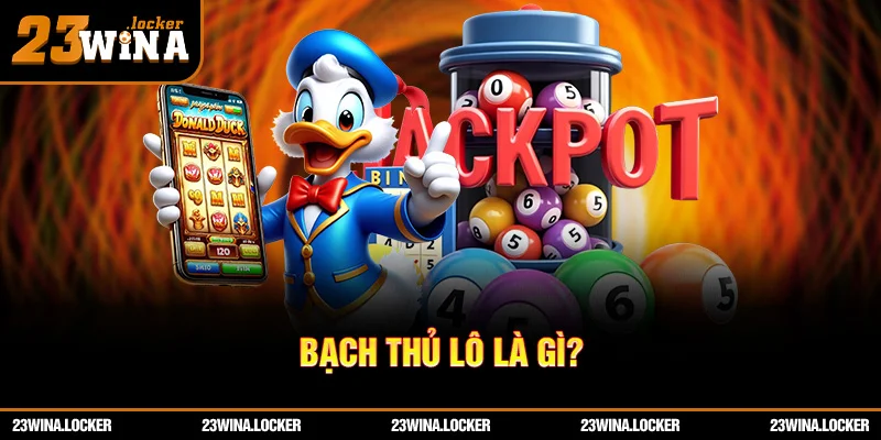 Bạch thủ lô là gì?